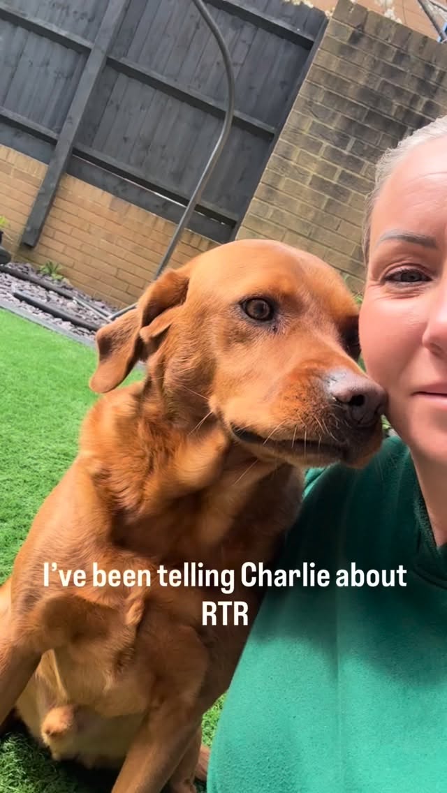 Charlie says…… Joining RTR will change your life! Link in bio and comments #midlifeawakening #regulatetoreceive #boldgirlera #chatliesays #wildwellwellbeing