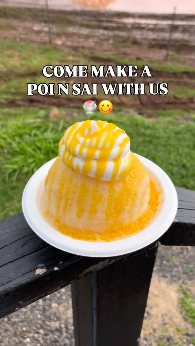 Local favorite? I’d say so 🤷🏽♂️
Come try our POI N SAI 🌱🍧
- poi on the bottom 👇🏾
- Sourop shave ice on top 🍧
- topped with haupia cream🍦and Liliko’i butter 🧈🤩
Come visit us at Kuilima Farm 📍
Open daily from 11AM-6PM
#organic #shaveice #kulashaveicens #fyp