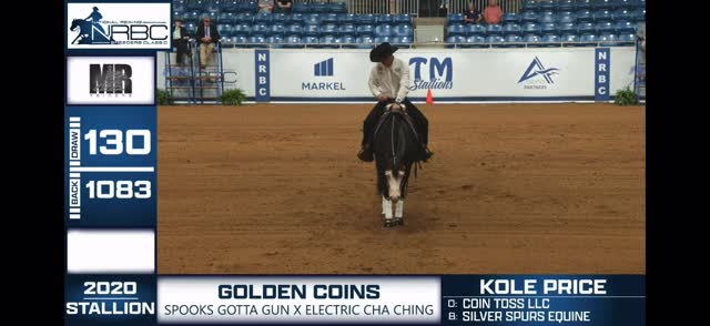 @goldencoinsstallion and @priceperformancehorses turn up the heat on Day 2 marking a HUGE 231.5 at the NRBC!
#horsesofinstagram #reining #aqha #horses #nrbc