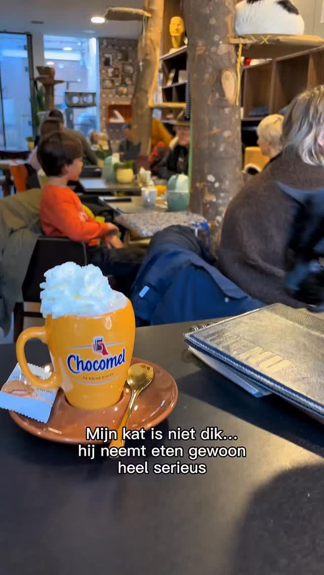 Onze katten nemen eten misschien een beetje té serieus… maar met de juiste voeding zit je altijd goed. 😼💛
@renskenaturalpetfood
#kattencafe #kattenliefde #renske #cats #fypnl