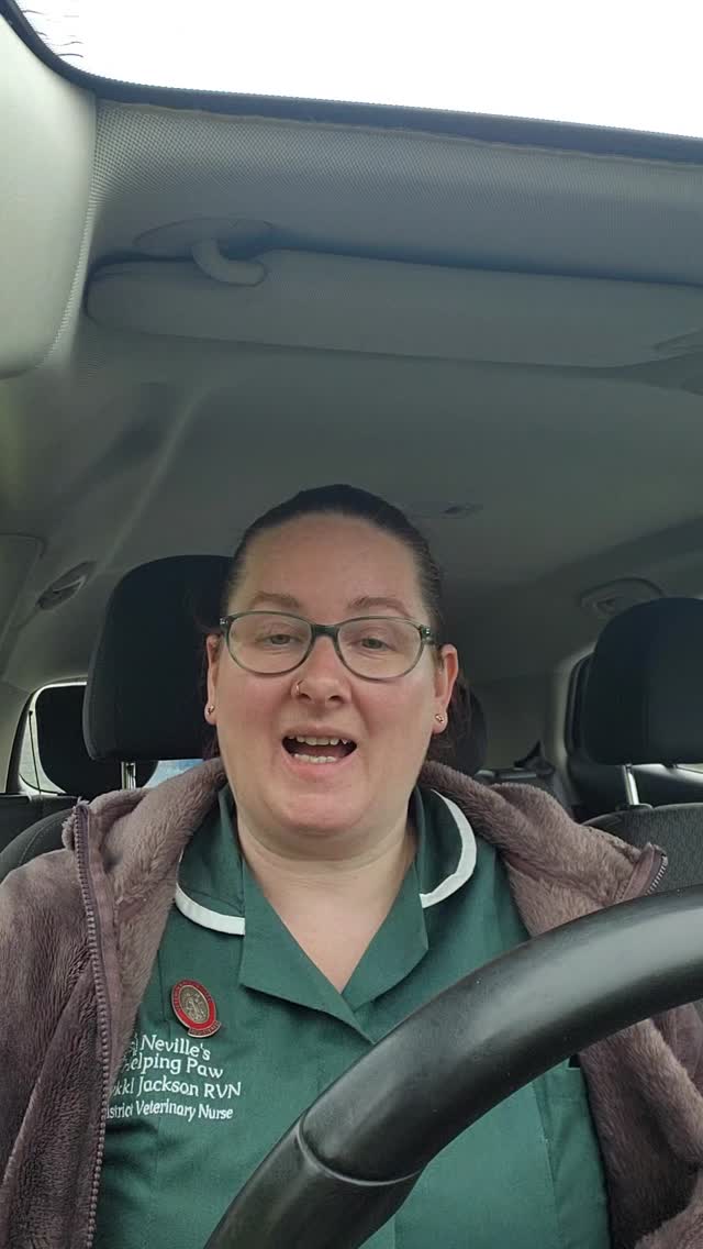 Here's a bit of a new one for me.
I've done a come on a visit with me video
Let me know what you think 😊
#districvetnurse #dvnhub #clipnails #dogs #Flintshire
Neville's Helping Paw
https://f.mtr.cool/eyghzegshq