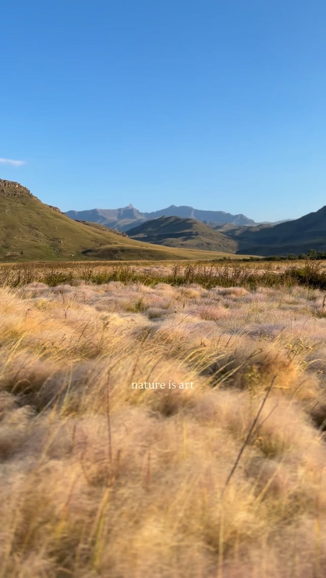 Here at Giants Cup Wilderness Reserve, art lives in every direction.
The mountains paint the horizon, the wind moves through the grass like a melody, and the soundtrack is nature itself.
A place where you don’t just see beauty… you feel!
#drakensberg #nature #naturelovers #beautifuldestinations #drakensbergmountains