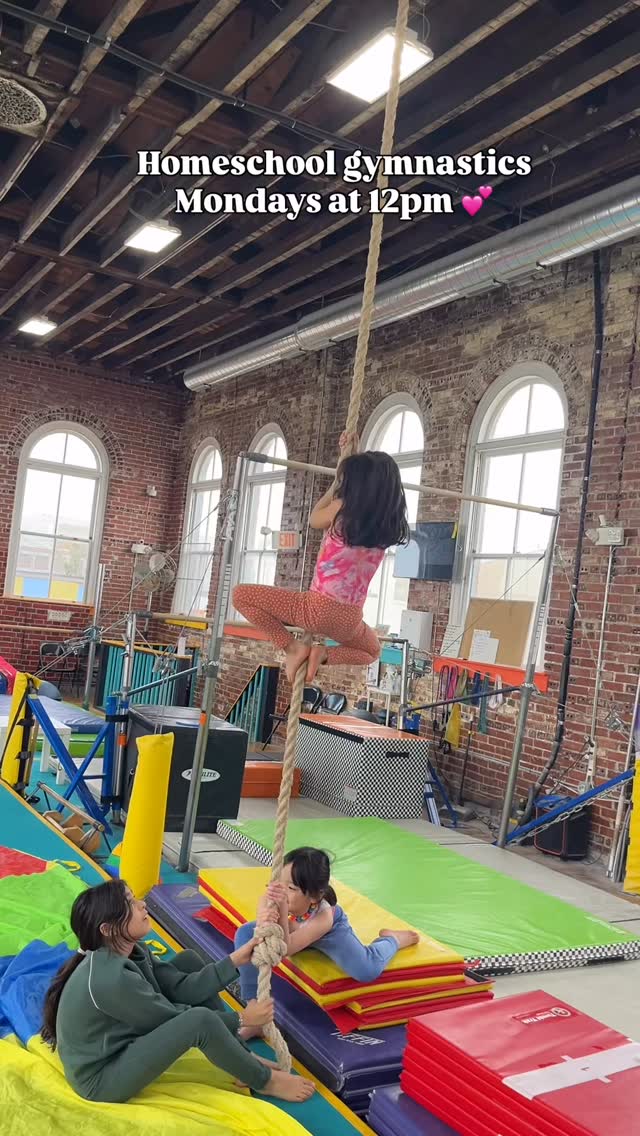 Monday morning homeschool has been working so hard learning new skills 🤸♀️
•
#flipoutproductions #gymnastics #homeschool #homeschoolgymnastics #philadelphia