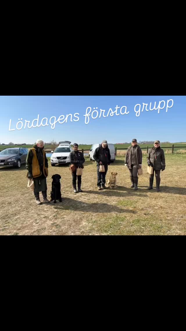 Lördagen 11/4 hade jag bjudit sin Simon Gabel för träning. Här lite bilder från första gruppen. #teamolsen #teamolsenforthewin #gundogtraining #hundträning #levadrömmen
