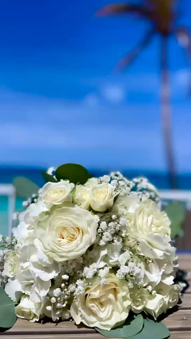 Two hearts, the ocean, endless love 💕
#Wedding #AchillesWedding #SeasideWedding #OceanRomance #LoveByTheSea #HappilyEverAfter #CoastalRomance #WeddingDreams #ByTheSea #EndlessLove #WeddingMoments #CoupleGoals #LoveStory #WeddingDay #DestinationWedding #Bermuda #BermudaWedding #BeachWedding #AchillesMoments #LetsSunset