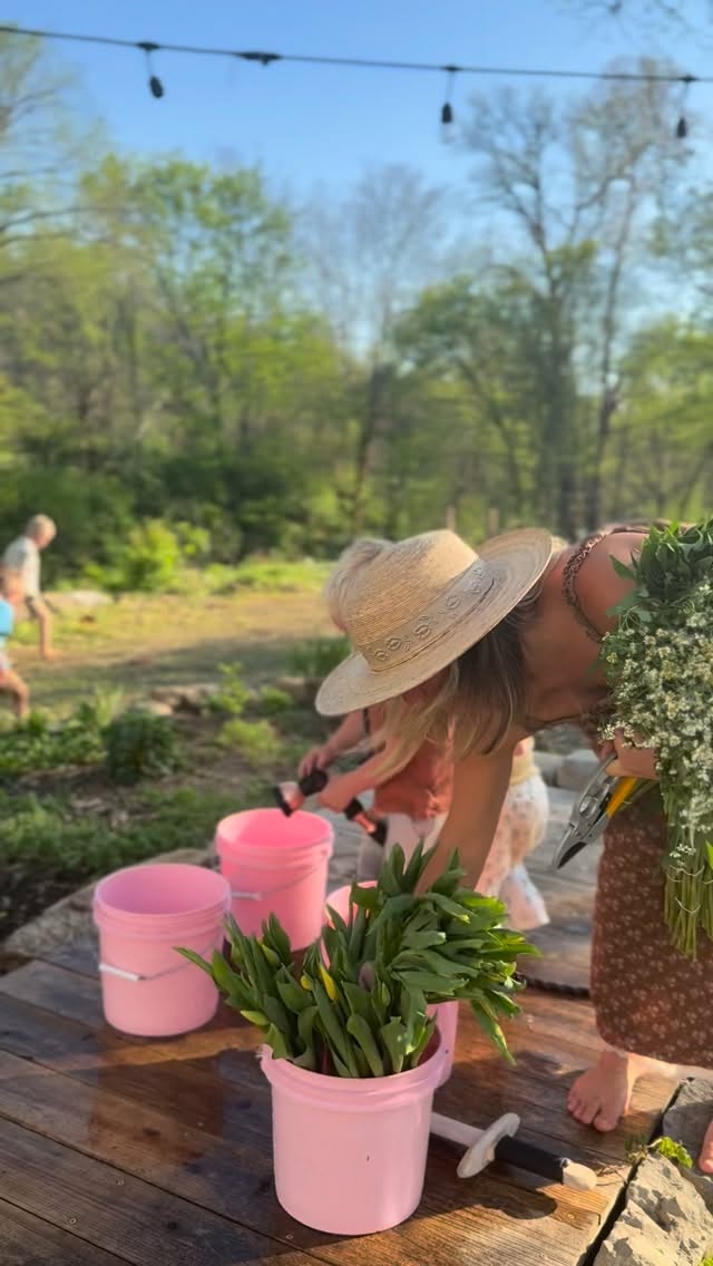 Part Two! Decided to finish prepping these flowers out in the fading light of the day with all my lovely helpers🥰 from all three boys, to my daughter Linen + even my goose Goosette, all hands on deck help!
#flowerstagram #florist #smallbusiness #momlife