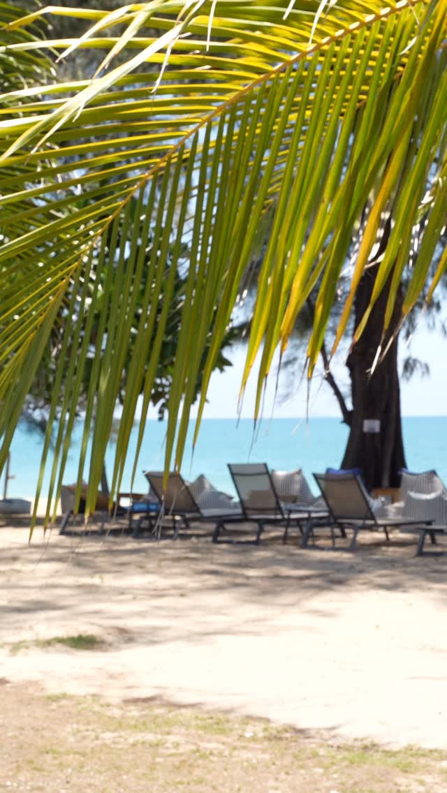 From lazy mornings by the shore to golden hours that melt into magic🌅💛
#kohlanta #longbeachchalet #paradise #thailand