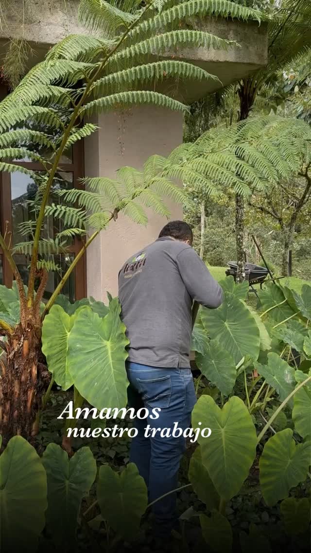 ¿𝗣𝗼𝗿 𝗾𝘂𝗲́ 𝗲𝗹𝗲𝗴𝗶𝗿 𝗧𝗘𝗥𝗥𝗔 𝗽𝗮𝗿𝗮 𝗰𝘂𝗶𝗱𝗮𝗿 𝘁𝘂 𝗷𝗮𝗿𝗱í𝗻 𝗲𝗻 𝘁𝘂 𝗰𝗮𝘀𝗮 𝘂 𝗼𝗳𝗶𝗰𝗶𝗻𝗮?
⠀
✅ Mantenimiento profesional y oportuno
Ofrecemos un servicio integral de mantenimiento, que incluye:
▫️Corte y perfilado de prados
▫️Control de malezas
▫️Fertilización orgánica o técnica según el caso.
▫️Poda estética y sanitaria de arbustos y árboles
▫️Limpieza de áreas verdes y jardineras.
⠀
Para conocer más sobre nuestros servicios ingresa a nuestra página web www.terra.net.co
Cotización sin costo: ☎(604) 4237774
⠀
Atendemos Vía las Palmas, Escobero, Oriente Antioqueño y Medellín.
⠀
#TerraPradosyJardines #Landscaping #MantenimientodeJardines #Paisajismo #Landscapedesign