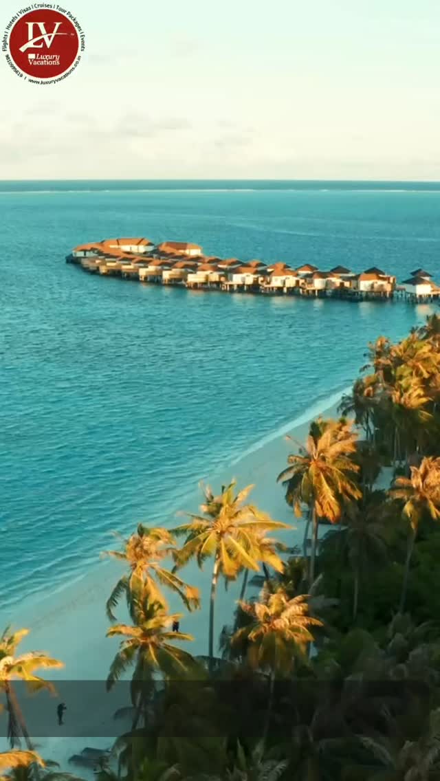 LUXURY VACATIONS brings to you exclusive deals on International and Domestic Hotels and Flights and other Cruise packages and Vacations , with amazing prices and Offers : Find out more on https://www.luxuryvacations.co.in/maldives
#AvaniFaresMaldives #AvaniMaldives
#MaldivesResort #VisitMaldives
#maldivestravel