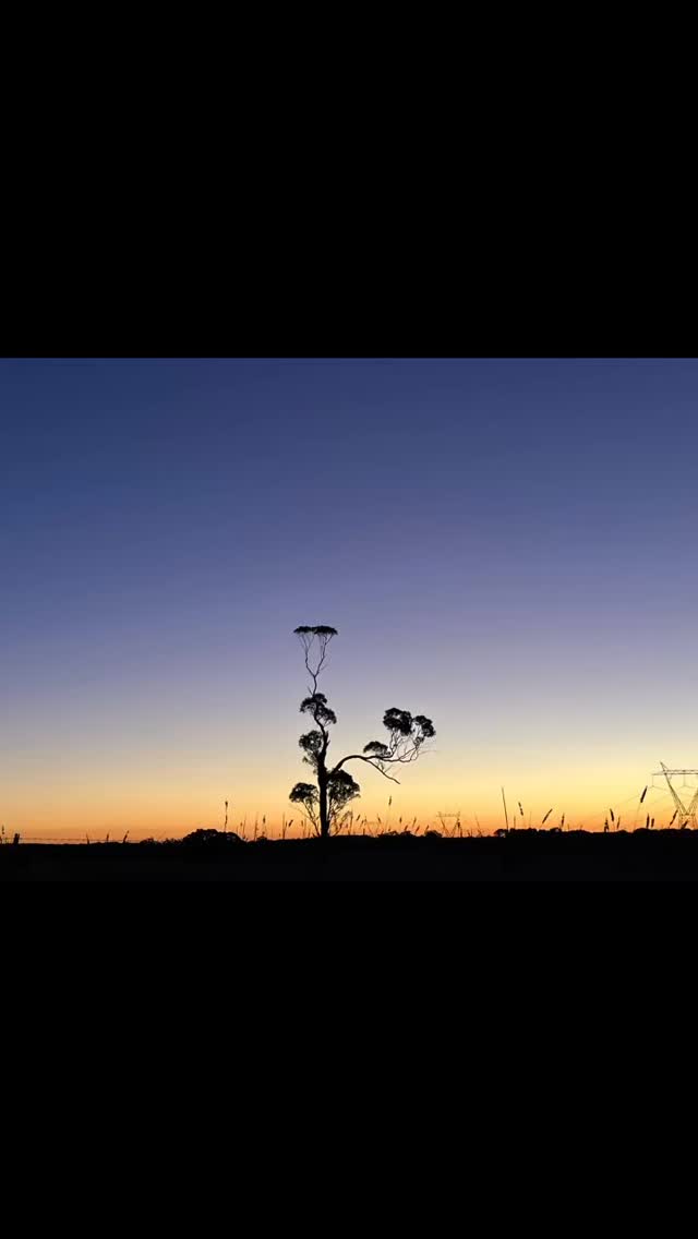 Turning moments into magic 💙 #sunsetlove #dreamyvibes #romanticizeyourlife #goldenhourmagic