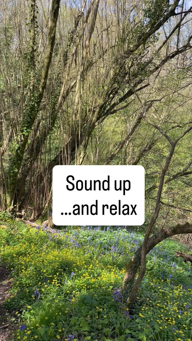 #staycation #forest #woodland #birds #relax