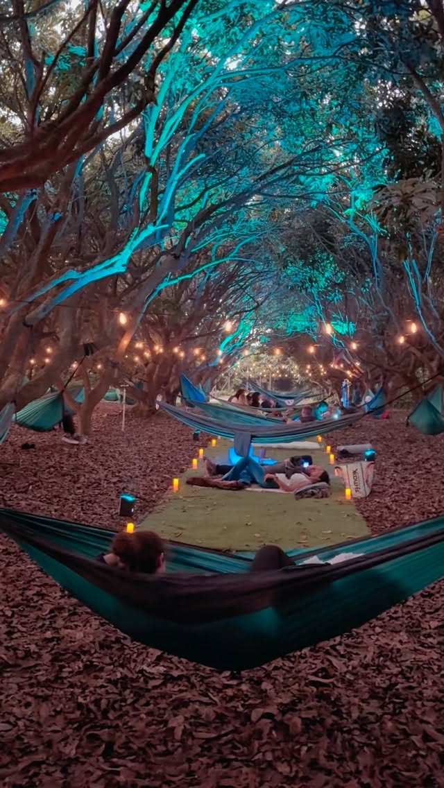 We would love to invite you all to our next Hammock Sound Bath in the Forest , a special collaboration with @healing_heroes_non_profit, it will be held at hidden gem in North Miami . @1000palmshideout .
📅 Saturday April 25
📍 Address will be provided upon registration