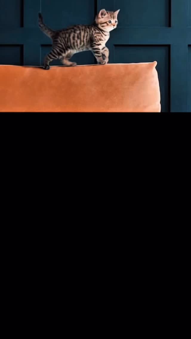 Most upholstery looks clean. Very few truly are.
Over time, what settles into the fabric begins to affect the comfort, the air, and the way your home feels.
We restore what is no longer visible, with precision, discretion, and care.
Because in a refined home, every detail matters.
-
#upholsterycleaning #upholsterycare #furniturecleaning #deepcleaningservice #professionalcleaning