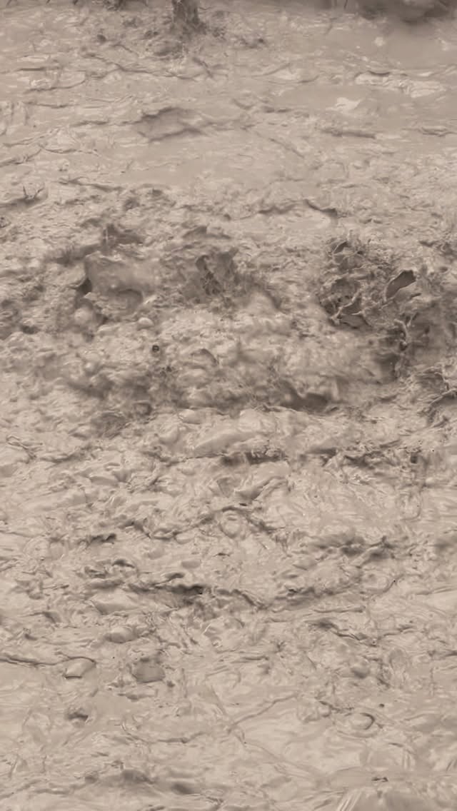 That’s one spicy hot tub! 🌶️♨️At the Sulphur Works in Lassen Volcanic National Park, the “water” is a casual 212 F. It looks like a relaxing soak, but between the boiling temperatures and the acidity of battery acid, I think we’ll stick to the hiking trails.
Fun Fact: These mudpots are formed when volcanic gases (like hydrogen sulfide) mix with water and melt the surrounding rock into clay. It’s basically the Earth’s own DIY pottery studio.
#volcano #geology #hottub #nationalparks #familytravel