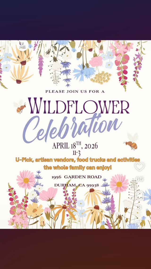 If you didn’t make it today to the wildflower festival please follow @gardencreekfarmca so you don’t miss it next year. I just want to swim in this field that my dear friends planted and I love that so many people got to experience it today. My Mumzie would have loved it. So would my dear friend Candace. It’s simply magical. So glad I got to share it with my sister @missynelsen and son. Thank you Kim and Henry! What a gift you’ve given us.