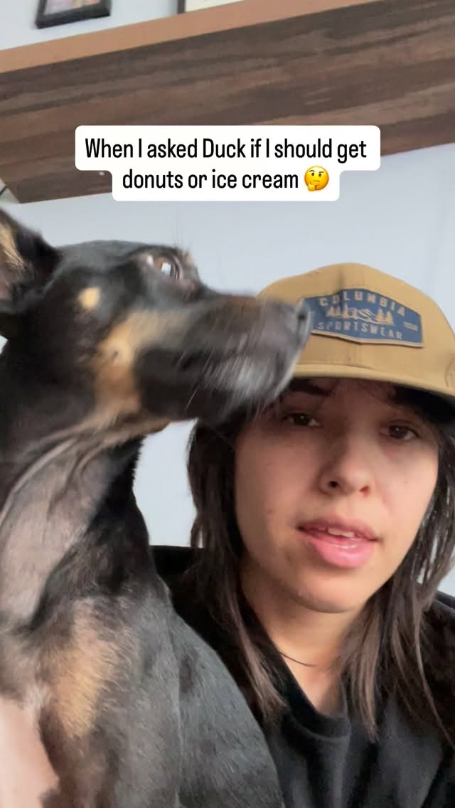 He was ready to go get those donuts!!! đŠđđťââď¸đ¤Ł
A throwback with this cutie, Duck the dog đŚđś
If youâre in NYC and looking for a dog walker to take your pup on adventures around the city, or for a daytime or overnight petsitter, Iâve got you covered đž
For booking/inquiries:
đ§: hailey@nycpetadventures.com
đ: nycpetadventures.com
#nycpetsitter #nycdogwalker #dogsofnyc #cutedogs #dogsofinstagram