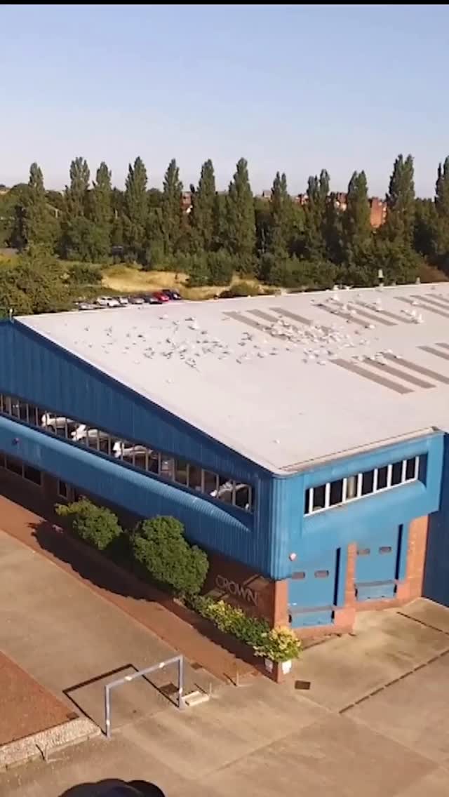 Where your kitchen is born✨️
One place. One standard.
Your Crown kitchen begins here with 80 years of craft, applied to every detail.
#Crown80 #CrownImperial #BritishMade #MadeInKent