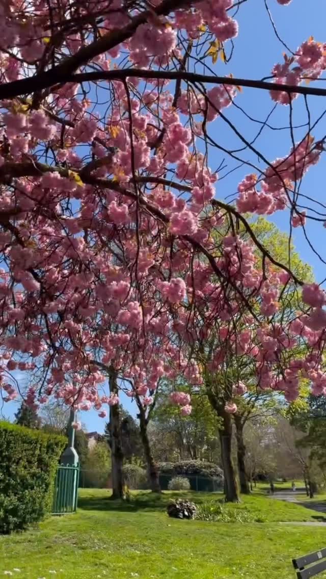Take a moment to pause in Lancashire this spring 🌼🌸