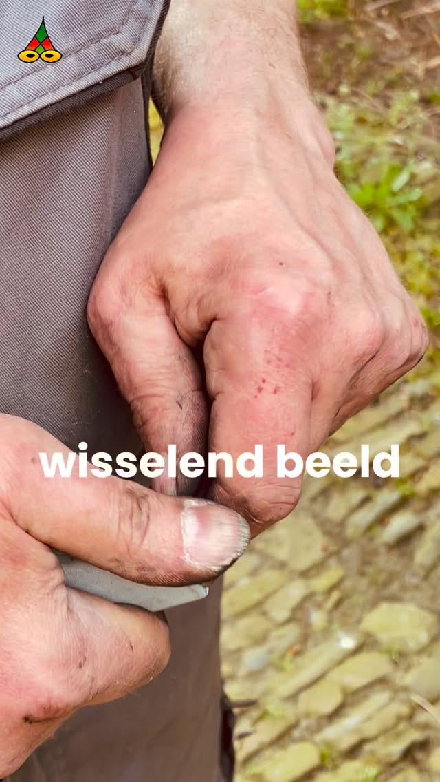Wisselend beeld
Shifting image.
Maurice Jonkers & Hilma ten Boske
Volg @poeziejournaal
Hou de Zonzijde
🔗 link in bio
#poeziejournaal #houdezonzijde
#tweeling #saab #kijken #twins
#poezie #vlaanderen #poetry