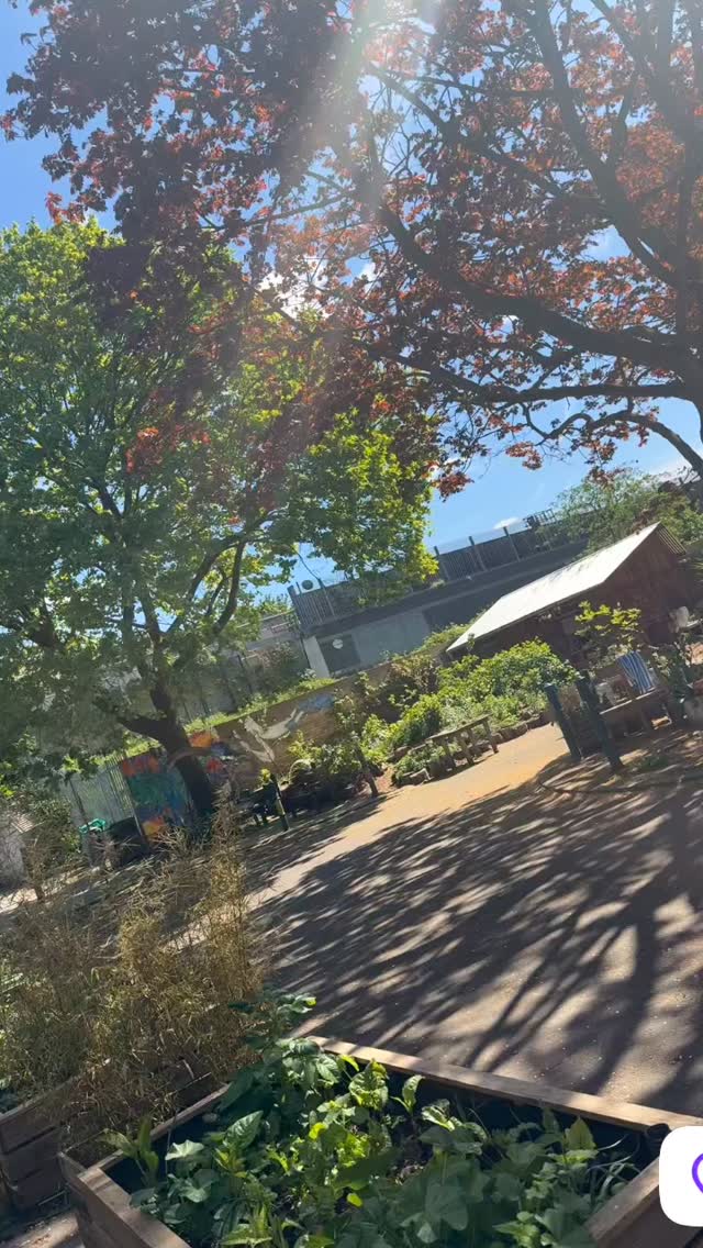 ☀️Some snippets from Sundays Lewisham’s Spring Open Gardens.
gardens participating with workshops, planting, cooking, foraging, allotment tours, seed sowing and worm related funfor families. Thank you for all that helped make this happen. Time to be inspired and volunteer and join in with a local community growing group. For volunteering options and linking please message us goodfood @lewishamlocal.com or find the gardening info on our web site. Link in bio
@bridgehouse_gardens @croftongarden @blythehillfields @wildcatwildernesscatford @cococollective_org @othas2026 @growlewisham @capital_growth #lewisham
