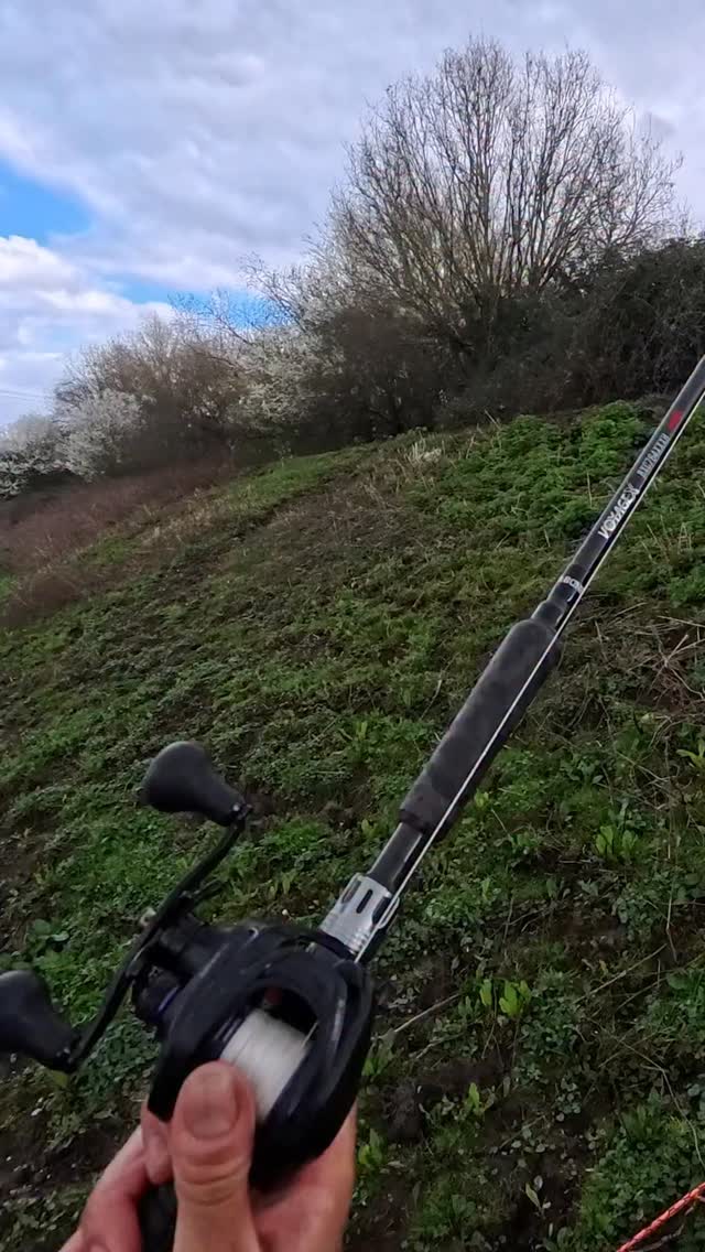 Live swimbait nim nim @zerekinnovation voyage x 21-140g reel @atcfishing combat v2
#fishing #fishes #pike #england #pikefishing