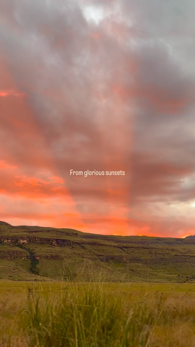 Unreal views.
Total privacy.
Absolute silence.
Welcome to Giants Cup Wilderness Reserve — where unforgettable holidays begin!
www.giantscup.co.za
#cabinlife #nature #naturelovers #beautifuldestinations #drakensbergmountains