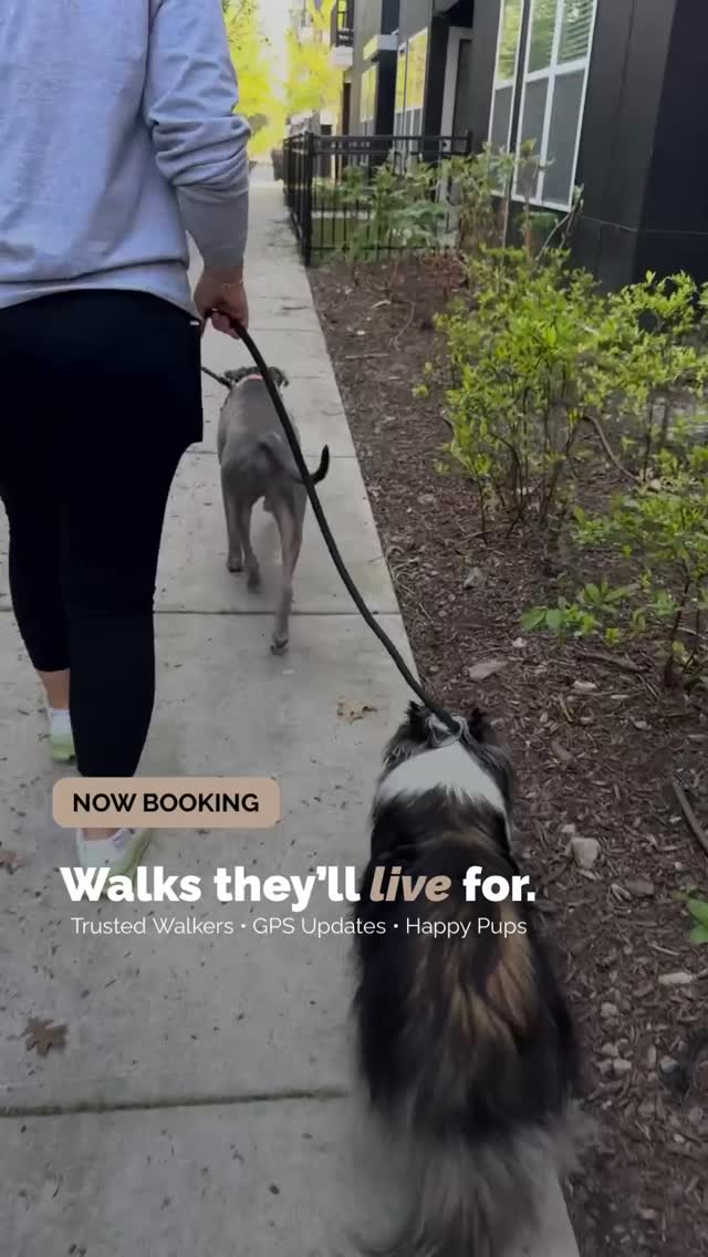 Your dog deserves a walk worth wagging about!
Professional GPS tracked dog walking so they get the exercise they love even on your busiest days. Book a free meet and greet today!
#nashvillepetsitter #hendersonvillepetsitter #petcare #nashvilledogwalker #dogwalking