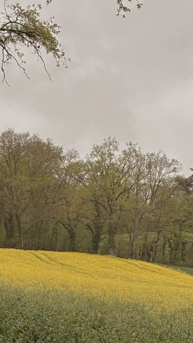 When clouds gather
we instinctively look for softer places.
A quiet room
a warm texture
a gentle horizon.
Soft North collects calm atmospheres
for slower living and simple joy.
#softnorth #seekcalm #quietbeauty #slowliving
