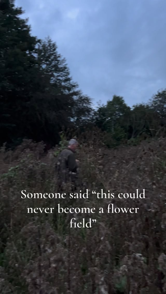 That first video still absolutely blow my mind, it is hard to imagine!
Slowly but surely we have created the most beautiful space, so many hand have helped along the way, and I couldn’t have done it without that!
It has been so nice to get back too it this week after lambing, I love being at the field, and can’t wait to see it develop this year!