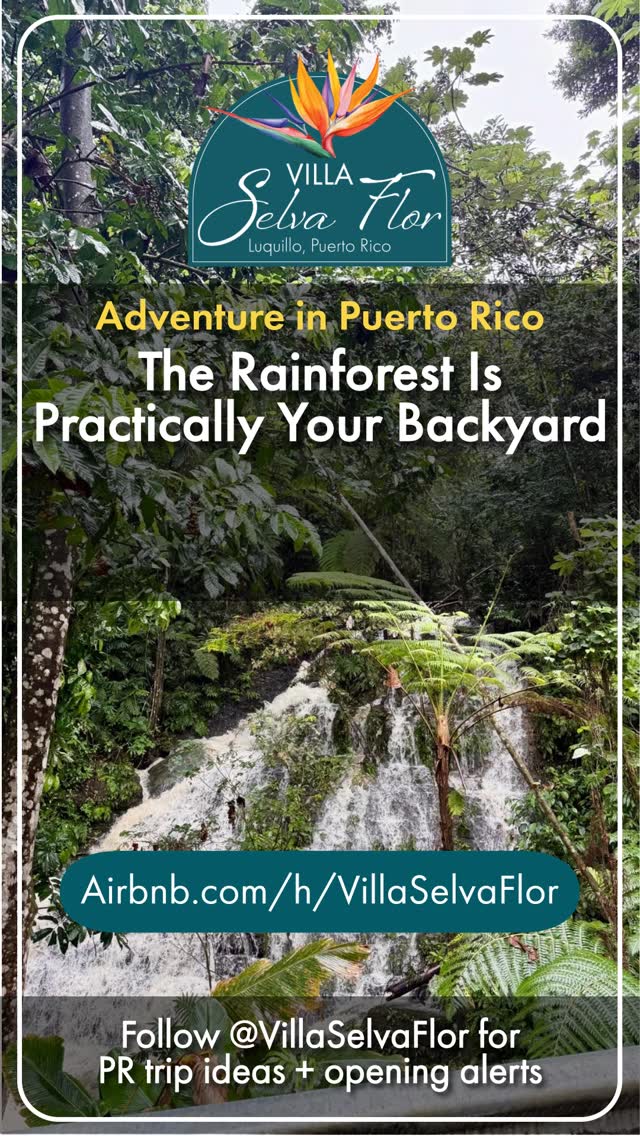 The rainforest is practically your backyard.
Hiking trails.
Waterfalls.
Spa later.
📍 Luquillo, Puerto Rico | Top 1% of homes on Airbnb ⭐
Plan your escape → airbnb.com/h/villaselvaflor
#PuertoRico #PuertoRicoTravel #ElYunque #IslandAdventure #VillaSelvaFlor