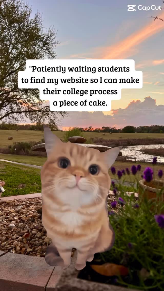 👋🏻Come find me at #CollegeBoundCoaching. 🔗Link in bio.