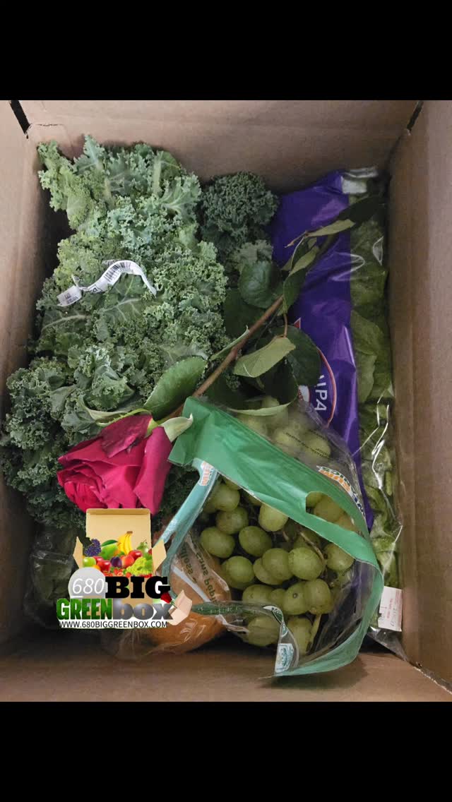 MY FAMILY ROCKS! #EATGOODFOOD #goodnessdelivery #680biggreenbox