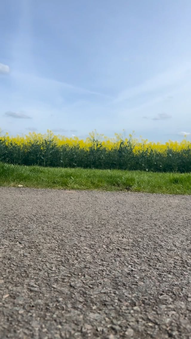 Small changes, MAJOR difference! Introducing the new Cybex Priam, more stylish than ever😍 we are absolutely in love! @cybex_global @retailers_uk_ie
#cybex #priam #inlove #cybexglobal #platinum