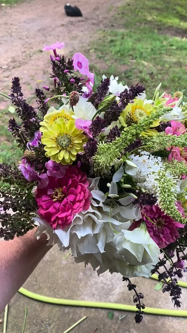 Flowers delivered to you door in Alexandria!!! Check it out at www.walkingwindfarm.com.