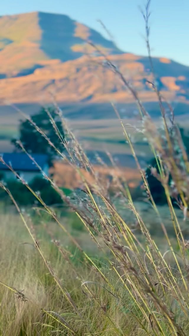 There are places you visit… and then there are places that stay with you forever.
At Giants Cup Wilderness Reserve, there simply isn’t anywhere else quite like it. Untouched, unspoiled, and impossibly beautiful — where towering mountains surround you, the air feels cleaner, and every moment is wrapped in stillness.
Wake up to birdsong, watch wildlife move quietly through the landscape, and sink into luxury accommodation designed to let nature take centre stage.
This is more than a getaway — it’s a return to something rare. ✨
#travelsouthafrica #luxuryescape #mountainmagic #natureretreat #offgridliving