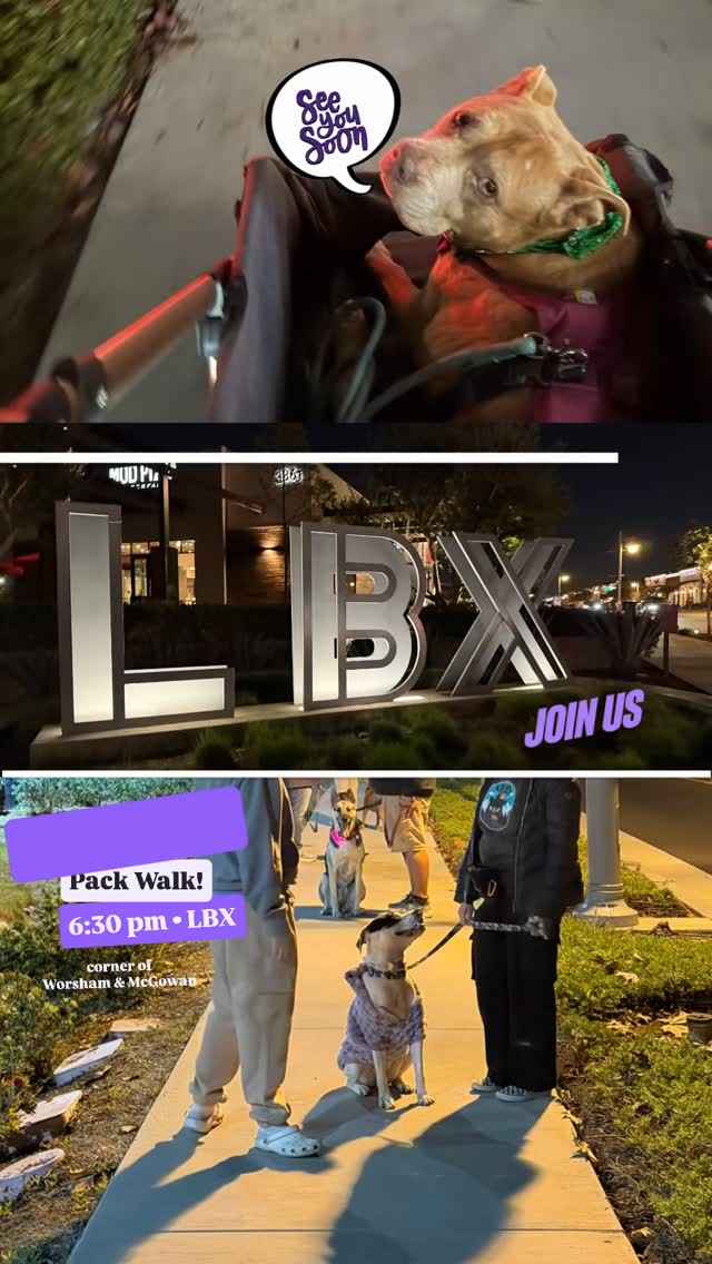 Don’t walk alone… Walk with us! THIS Wednesday at LBX • 6:30 pm • corner of Worsham & McGowan. We leave right at 6:30. See you there!
Our walks respect you and your dog’s need for space, help dogs learn to be calm around others and create an opportunity for us to meet and support each other. Walks among others can satisfy our dog’s need to belong and often lead to a long nap afterwards. And if you need help with any behavior challenges, we can offer suggestions to help you overcome or manage them. Please reach out!
Some of our dogs are scared. Some are shy. Some are reactive. Some are friendly, but learning how to be calm around others. We maintain these rules on our walks: a minimum of ten feet from others (unless dogs are together), one dog per handler, a six-foot or shorter leash (no retractables, please) and NO dog intros. It is everyone’s responsibility to keep their dogs safe and safely under control. If you can follow our rules, you are welcome to join us. Please feel free to use a muzzle if your dog would benefit from it. If you’re not sure if your dog would do well at a pack walk, please message us for more information. @beau_beau24
#packwalk #longbeachdog