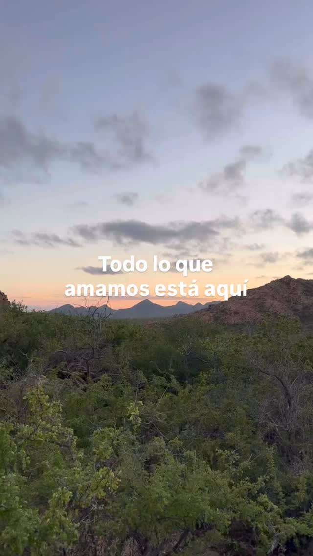 La que nos hace encontrar algo sagrado en lo simple. 🌎
A veces hacerle honor a este planeta empieza así: quedarte por un momento en silencio, mirar alrededor y entender que todo esto… es hogar. Hoy, todos juntos, recordemos eso. 🏞️🍃
— ENG —
The kind that makes us find something sacred in simplicity. 🌎
Sometimes honoring this planet begins like this: taking a moment to be silent, look around, and understand that all of this… is home. Today, let’s all remember that together. 🏞️🍃
-
-
-
-
-
día de la tierra, planeta, naturaleza, oceano, mar, sostenibilidad, conciencia, medio ambiente, tierra, vida, ecosistema, biodiversidad, planeta azul, cuidado ambiental, amor por la tierra, naturaleza intacta, cambio climatico, conservacion, energia natural, hogar
