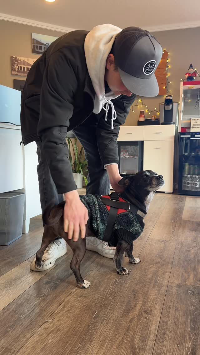 🐾 Dog of the Day: Meet Buster! 🐾
If you’ve ever been by our shop, you might already know this little guy. Buster walks by every single day and always makes a pit stop inside to say hello to the team at Professional Auto Body & Paint.
He knows the drill — straight through the front office, soaking up all the free pets and love he can get. Some days he gets lucky and he gets to meet our new customers… which means maximum scratches and attention 😄
Today he stopped in and even put his paw on his human’s shoe just to keep his balance while getting all the love. Safe to say, he’s part of the crew at this point ❤️
We’re proudly dog-friendly and always happy to meet your furry friends. If you’ve got a pet, bring them by — we’d love to say hi!
#dogoftheday
#buster
#shopdog
#dailydog
#dogsofinstagram