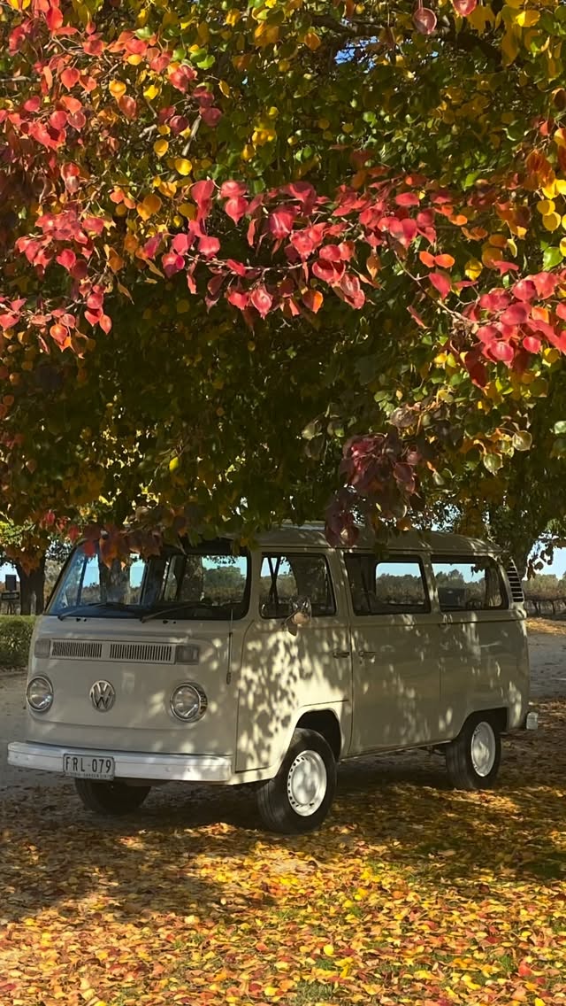 All that before you taste any wine!
It’s a stunning time of the year to visit.
@allsaintsestate @explorerutherglen
#uniqueexperiences #rutherglenwinetours