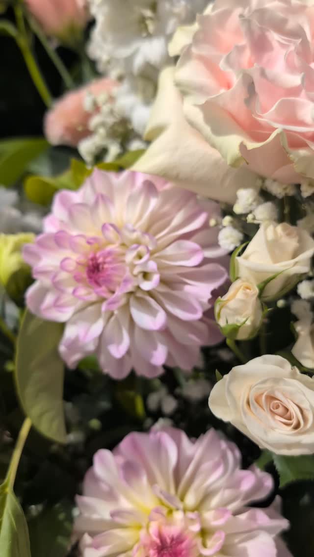 Sometimes I get caught up with the work and forget to photograph. But what a beautiful day for Emily and Thomas 💍🍾 ☀️
@mountloftyestateweddings
