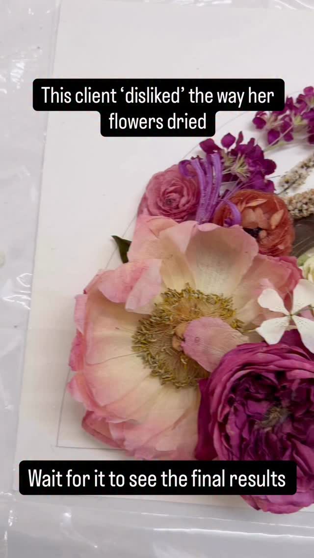 This client disliked the way her flowers dried. Her bouquet had coral Peonies that change color every hour. And those being the key flowers of the bouquet , she didn’t like the look. So we got our color enhancement tool and enhanced them. I am so proud of how these turned out. The client was so happy and satisfied with the look.
.
Follow along to see more for this as well as other bouquets!
.
Florist: @keriannenelsonflora
Resin: @superclearepoxy liquid glass. Use the link in linktree bio and code ‘Pranal5’ for additional discount. The coupon can be stacked on current discounts they are running.
.
.
.
.
.
#bouquetpreservation #flowerpreservation #modernflowerpreservation