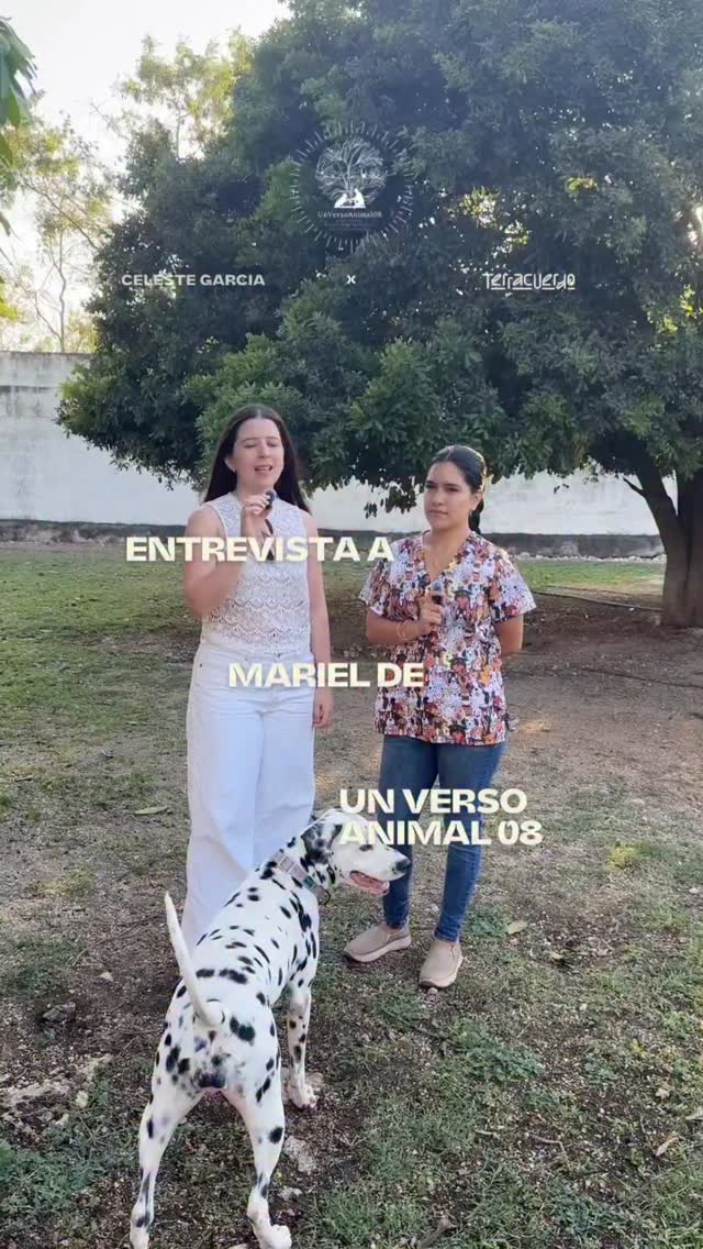 Platicamos con Mariel, una de las creadoras de Un Verso Animal, un espacio donde los perritos pueden ser ellos mismos, libres, cuidados y felices.
Nos encanta colaborar con proyectos que comparten una visión consciente y un profundo respeto por todos los seres vivos.
Gracias por ser parte de Presencia y sumar a que esta experiencia pudiera existir. ✨
