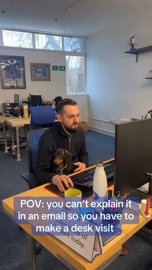 Milo loves a desk visit 🐾 #office #officehumor
