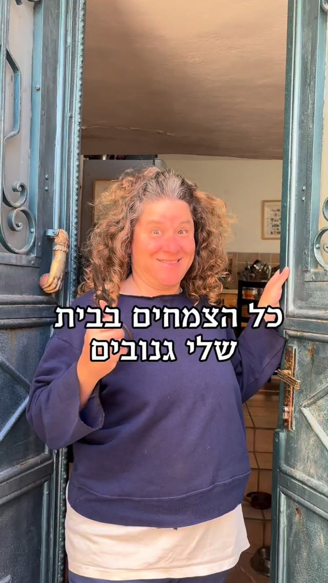  טוב, לא כולם.
חלק הגיעו בצורה חוקית לגמרי,
אבל השאר ״הושאלו״ - מגינה ציבורית, מבית קפה, או מעציץ מיותם בכניסה לבניין.
רוב צמחי הבית הם אלופי ההשתכפלות, הם צריכים רק מקטע קטן ועונה מתאימה.
העונה המתאימה היא עכשיו! באביב הם נמצאים בשיא הפריצה - ענף שתשימו עכשיו במים או באדמה ישריש ויצמח פי 2 מהר יותר מבכל זמן בשנה.
אז איך עושים את זה?
1. זהו את המפרק (בליטה קטנה, התחלה של שורש אויר, פרק…) - את החיתוך בצעו מתחת למפרק
2. הסירו עלים תחתונים (מהחלק שיכנס לאדמה)
3. שתלו באדמה לחה - כך ששני מפרקים לפחות יהיו בתוך האדמה , ושניים מעליה
4. שימו במקום מואר, ללא שמש ישירה.
5. נשקו היטב עד לרוויה של האדמה. אפשר וכדאי לרסס מים על העלים עם שפריצר
שמרו על אדמה לחה, וזהו זה!
אין כמו לגדל צמח ממקטע, להגדיל את השפע, להוסיף ירוק לבית, אבל תזהרו - זה ממכר!
איזה צמח ״גנוב״ הוא הגאוה של הבית שלך? ואיך השגת אותו? (מבטיחה לא לגלות לועד הבית)
.
.
.
.
.
.
.
.
#צמחגנוב #צמחיבית #ריבויצמחים #צמחיםגנובים #צמחמותרלגנוב