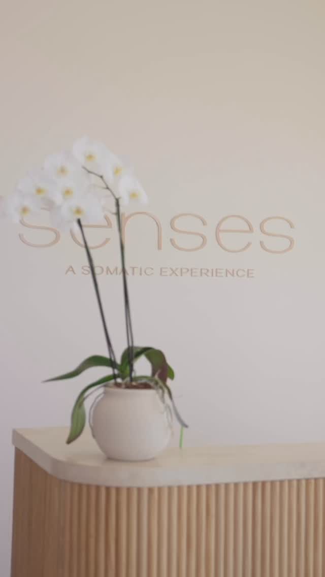 Join us on Saturday April 11th at 10:00 am for an Elemental Rhythm Breathwork experience ✨
A shared embodied practice to support emotional health and nervous system care.
Book your spot at the link in bio.
#somatichealing #emotionalwellbeing #emotionalwellness #cabo #loscabos