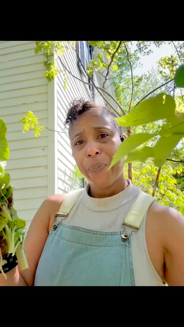 Happy 47th Birthday To Me❣️I’m glad God didn’t honor my request last year when I crashed out and asked Him to scoop me up like He did Enoch. (Funny but true) Good thing He knows our heart better than we know ourselves because this year, the 365 days that separated those 2 realities was apparently all I needed for a complete breakthrough. I am created for such a time as this and the very fact that I have accessed Joy once again despite going to hell then being resurrected more times than I’d like to experience. But I let the journey teach me & didn’t allow it to make me bitter. And now I finally understand the purpose for my pain & that I am chosen, crowned & clothed in victory. Reaping season is FINALLY HERE! And the enemy owes me 7 times everything he stole. Just know that when you see it, know that God did it! Weeping my truly endure for a night, but joy indeed comes in the morning. So hold on! Cause help is on the way 🎊🎉🎁🥳