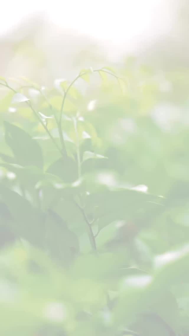 4月、がんばったママたちへ♡
4月は、こどもたちだけではなく
ママもがんばりましたよね😊
☑︎新しい生活リズム
☑︎こどもの不安受け止め
☑︎朝の送り出しのプレッシャー
など
毎日見えないところで
すごくエネルギーを使っていると思います
だから
イライラしたり
余裕がなくなったりするのは
当たり前のこと
それは
「ちゃんと向き合っている証拠」だから
少しでもいいので
ひとりの時間をつくったり
好きなものを食べたり
何もしない時間をつくったりしてみてください♡
ママが満たされると
こどもたちも安心すると思います🌸
まずは、自分を労ってあげてください🍀
5/9(土)オープンスクール開催決定‼︎🍀
民間学童保育・フリースクール
こどもおとな基地イロトリドリに興味を持ってくださった方は、
プロフィール→申込みフォームから
ご連絡ください🌸
✿✿✿✿✿✿✿✿✿✿✿✿✿✿✿✿✿✿✿✿✿✿✿
学校と家のまんなか「放課後時間」をデザインする
イロトリドリは
新潟市西区にある
民間学童保育・フリースクールです💎
2歳から中3生のこどもたちが
通ってくれています✨
放課後をこどもたちのゴールデンタイムと捉え、
安心して楽しめる場の提供に留まらず、
みんなが『自分の頭で考える力』を育む関わりを大切にしています😊
ご興味をお持ちいただけましたら、
体験や見学なども随時承っておりますので
ご連絡ください🍀
今まで当たり前だと思っていた環境
または
これしかない、と思っていた環境
そこに、もうひとつの選択肢として
イロトリドリにご興味をお持ちいただけたら
嬉しいです🌸
お問合せは
プロフィール→イロトリドリHP🔗から
ご連絡お待ちしております✨
#新潟市学童 #新潟市ママ #小学生ママ #共働き家庭 #新�