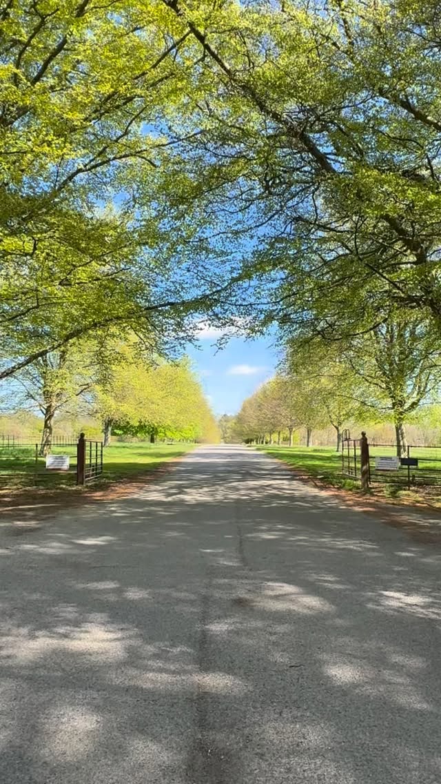 What a gorgeous weekend of sunshine, spotting spring lambs in the fields and cow parsley in the hedgerows☀️
We are nearly ready to welcome you to the Spring Brocante over May Day weekend @larmertree 🎪
Thank you to the kindest businesses in Shaftesbury, Chettle, Horton & Farnham for taking flyers to help us share the Brocante 🤎
@thebotanicalcandleco
@themuseuminn
@chettle_village_store
@hortoninnwimborne
@shaftesburyantiques
@thegrosvenorarmsshaftesbury
@coffeenumber1
@kingjohninnpub
Spring Fair | Visit Dorset | May Day Weekend | Vintage | Antiques | Artisans | Larmer Tree | Brocante Shopping