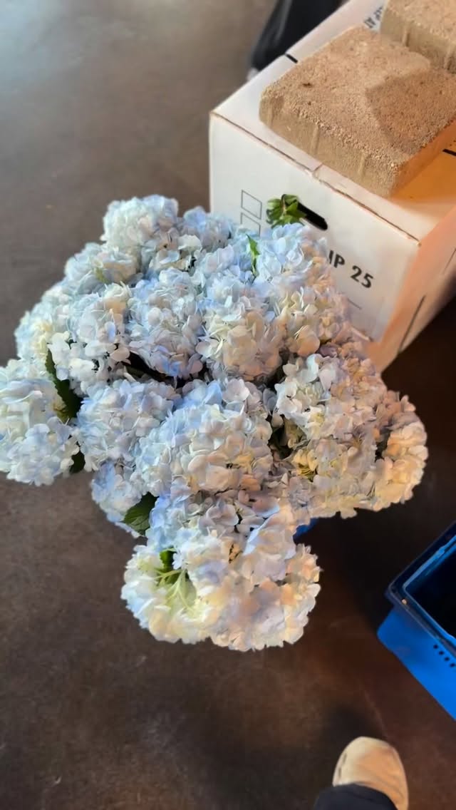 Our team kicked off spring right with this colorful ceremony arch at @unionmillspublichouse a few weeks ago!
Hundreds of stems varying in color, size, texture and smell! These on sight ceremony pieces are so special because they go from nothing to everything so quickly!
The beautiful couple requested lots of spring colors, fresh blooms and garden vibes. We’re so glad we were able to bring that vision to life!
•
•
#frederickflowerfarm #weddingflorals #frederickmd #springwedding #unionmillspublichouse