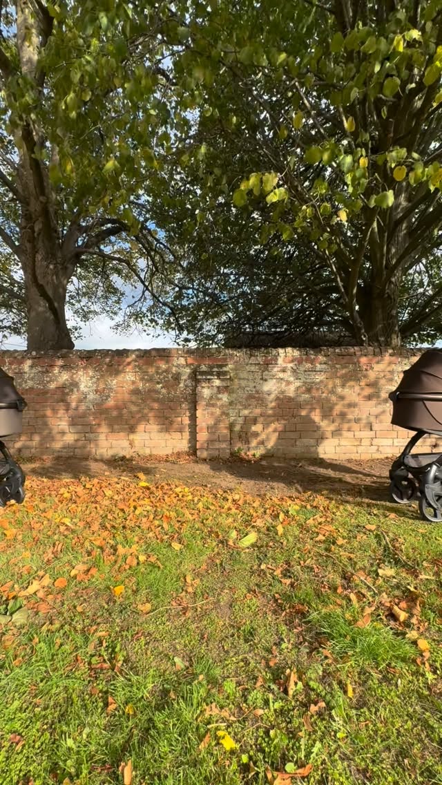 Which one would you choose?
Left - Charlotte with Chocolate Velvet 🍫
Right - Sue with Exclusive Turkish Coffee ☕️
Comment your vote below 👇🏼
🍫 or ☕️???
#eggstroller #egg3 #chocolatevelvet #turkishcoffee #shopindependent